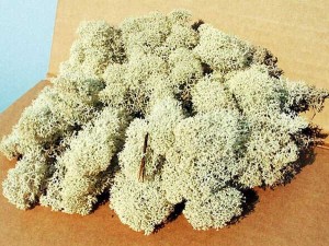 Mech (chrobotek) szary 30 g, Heki 3212