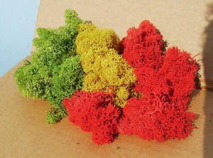 Mech (chrobotek) mieszanka 30 g, Heki 3214