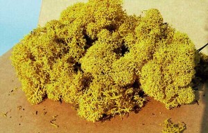 Mech (chrobotek) żółty 30 g, Heki 3215